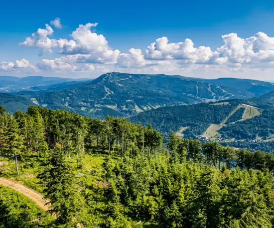 Grafika Panorama Žywieckých Beskyd